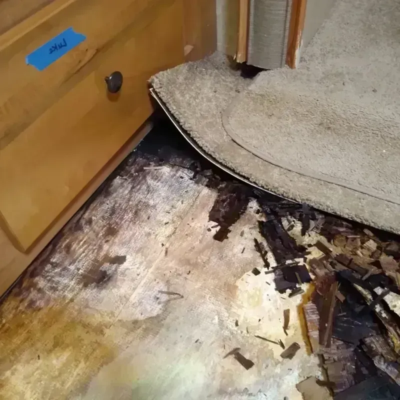 Wood Floor Water Damage in Lee County, NC